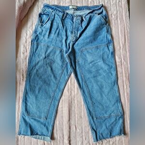 Abercrombie and Fitch Curve Love Dad High Rise